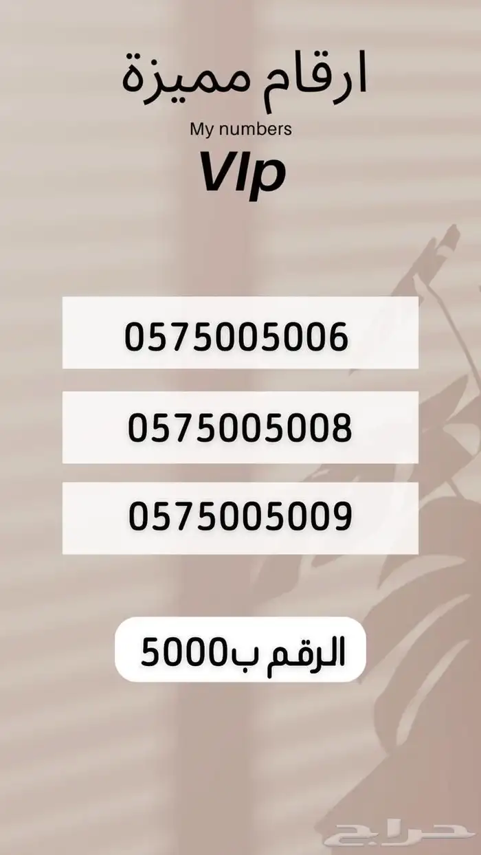 ارقام مميرة 3