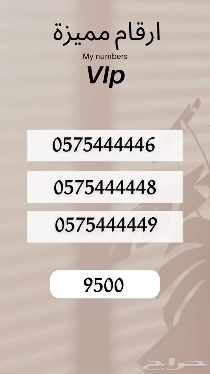 ارقام مميرة 21