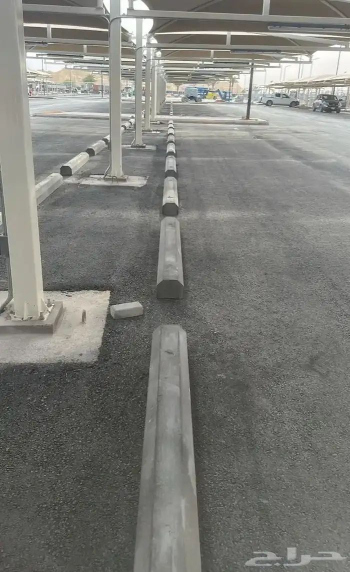 الرياض 26
