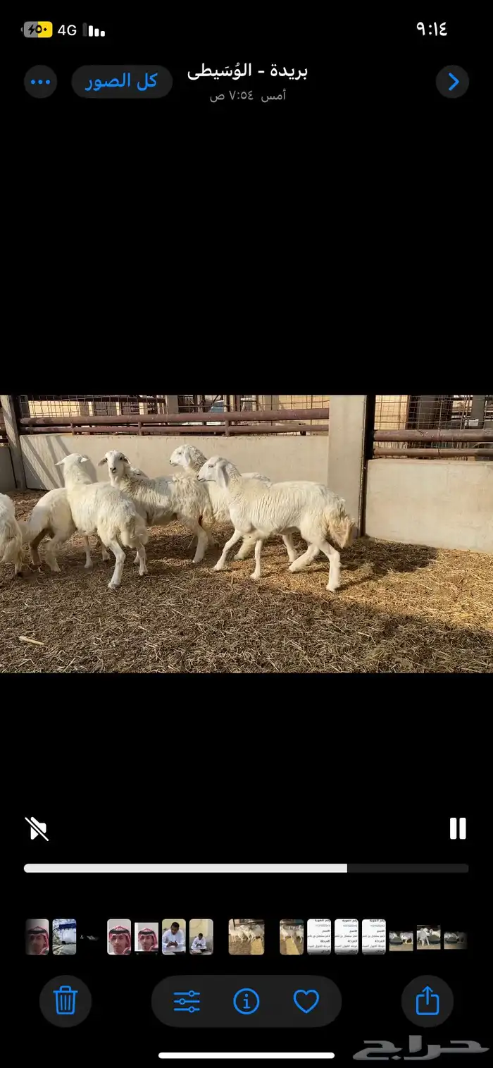 حريات جذيعات دفيع 3