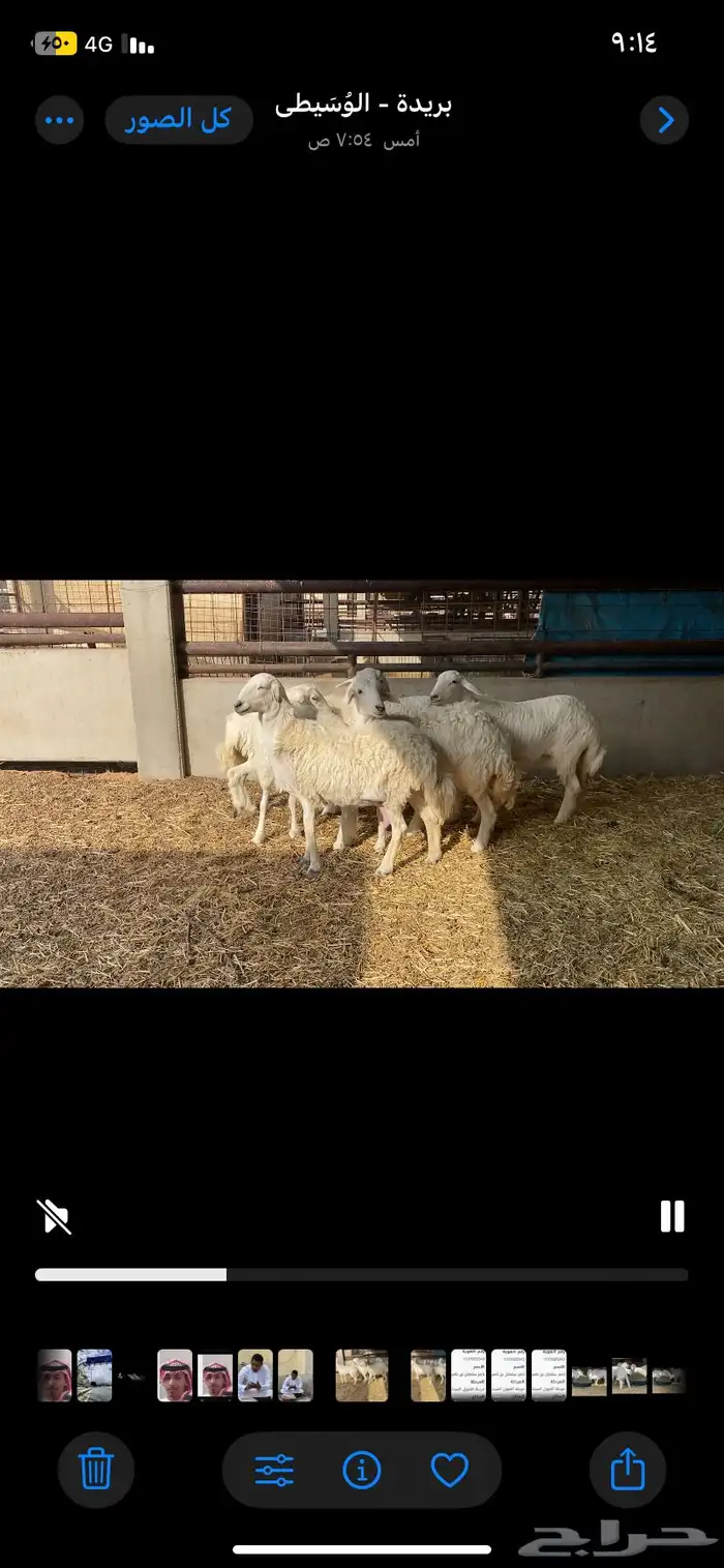 حريات جذيعات دفيع 5