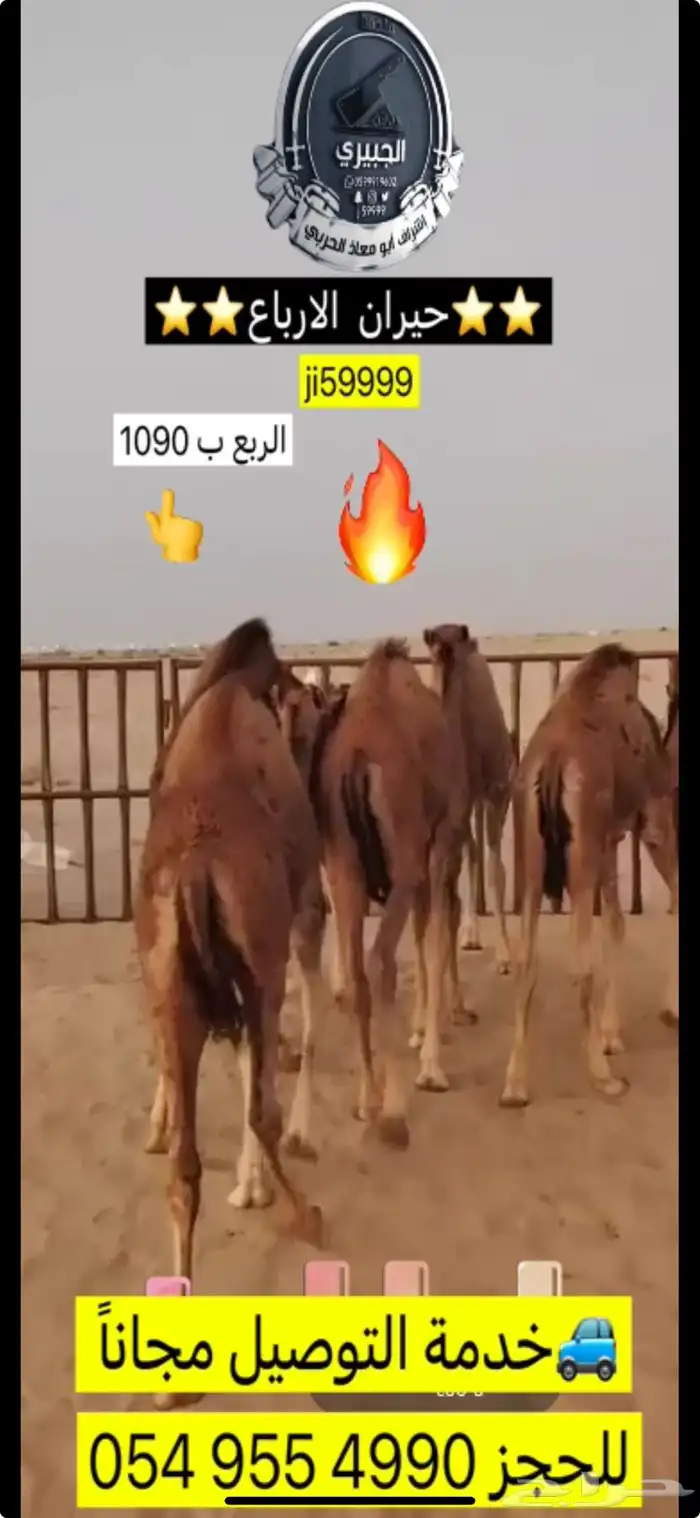 حوار حليب وحريات مناسبات وثلاجة 0