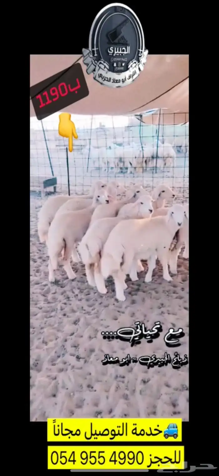 حوار حليب وحريات مناسبات وثلاجة 6