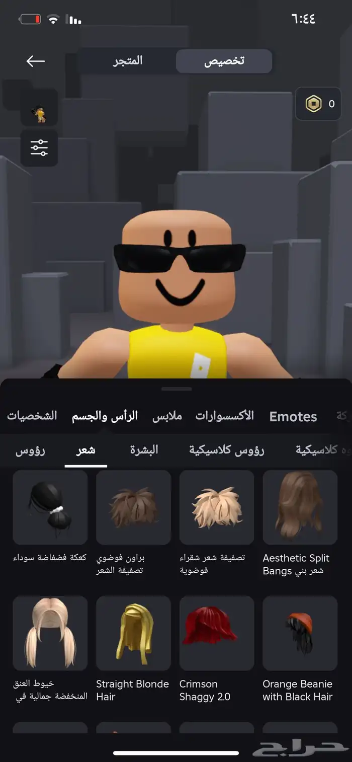 حساب روبلوكس 16