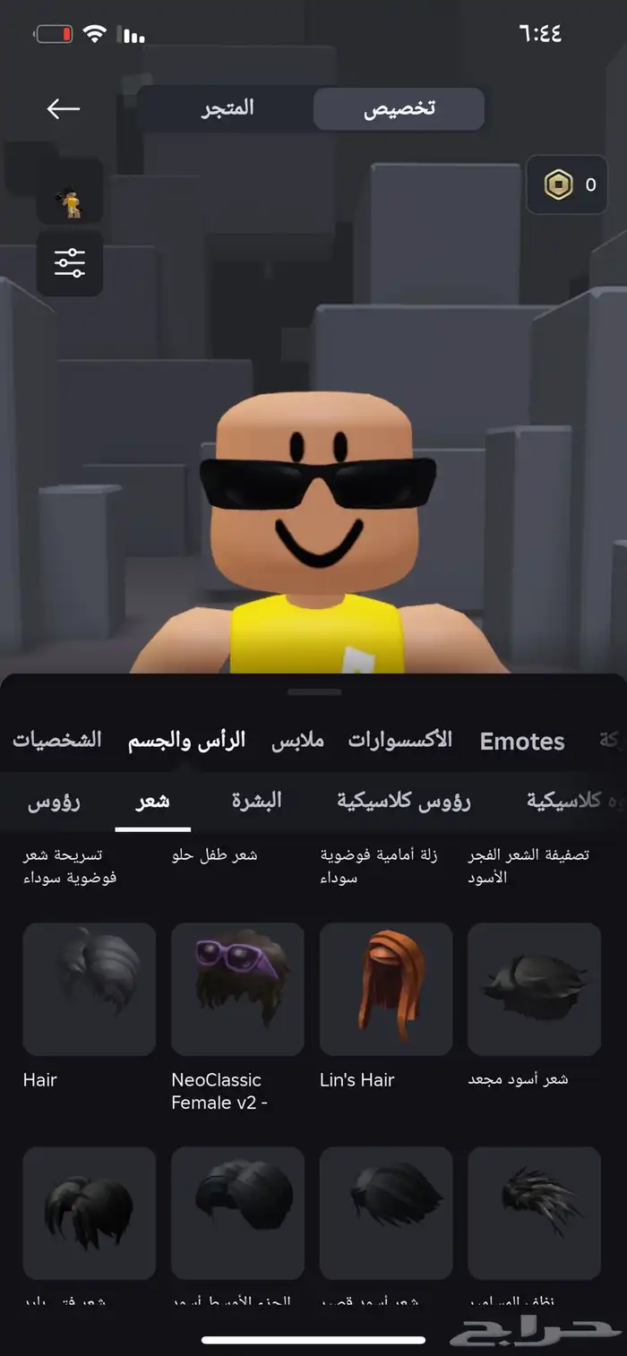 حساب روبلوكس 14