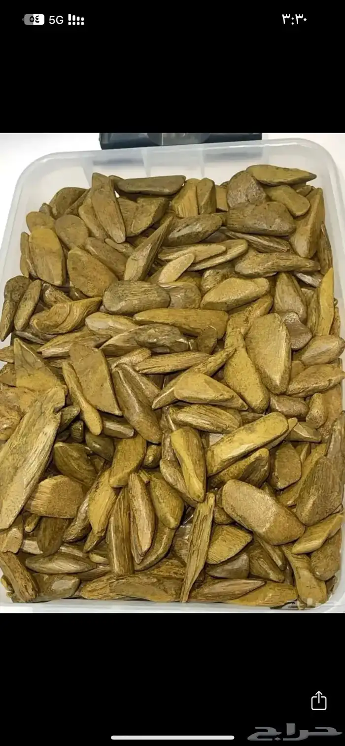 عود مروكي 0