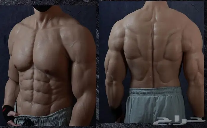 بدلة العضلات بتفاصيل عالية الدقة الواقعية 13