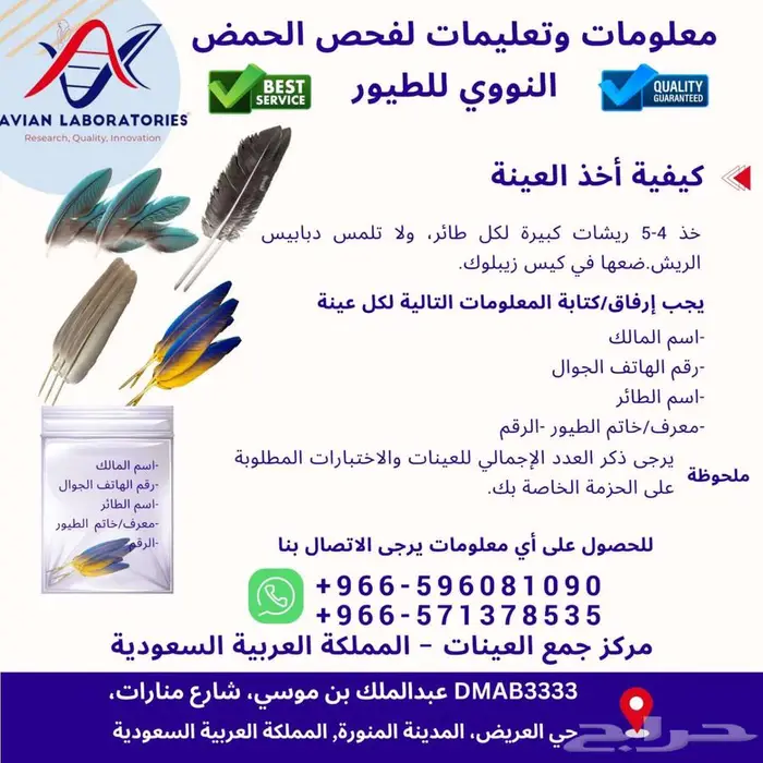 تحديد جنس الطيور بتحليل الحمض النوويDNA 4