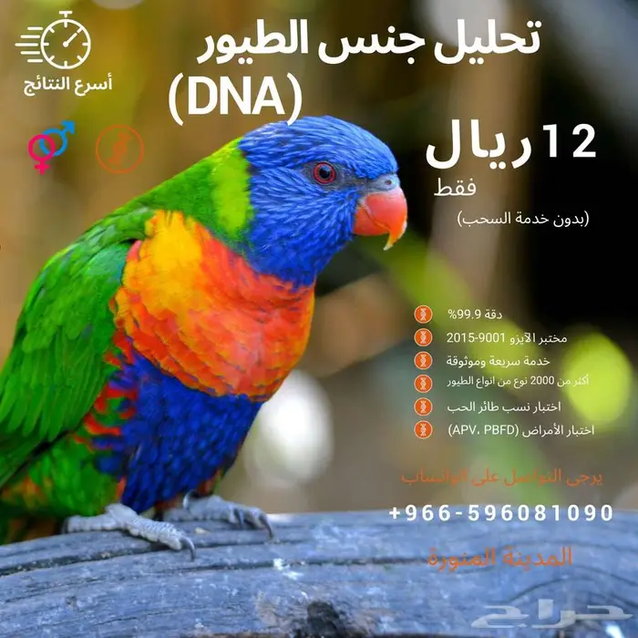 تحديد جنس الطيور بتحليل الحمض النوويDNA 2