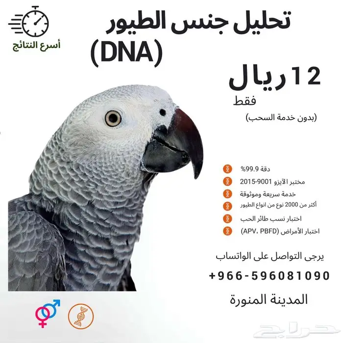 تحديد جنس الطيور بتحليل الحمض النوويDNA 0