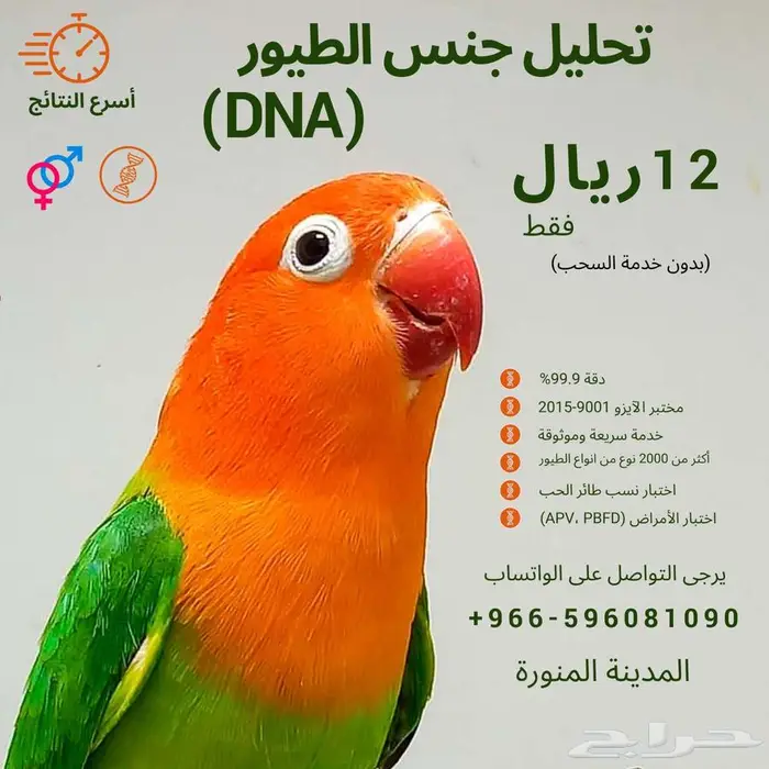 تحديد جنس الطيور بتحليل الحمض النوويDNA 3