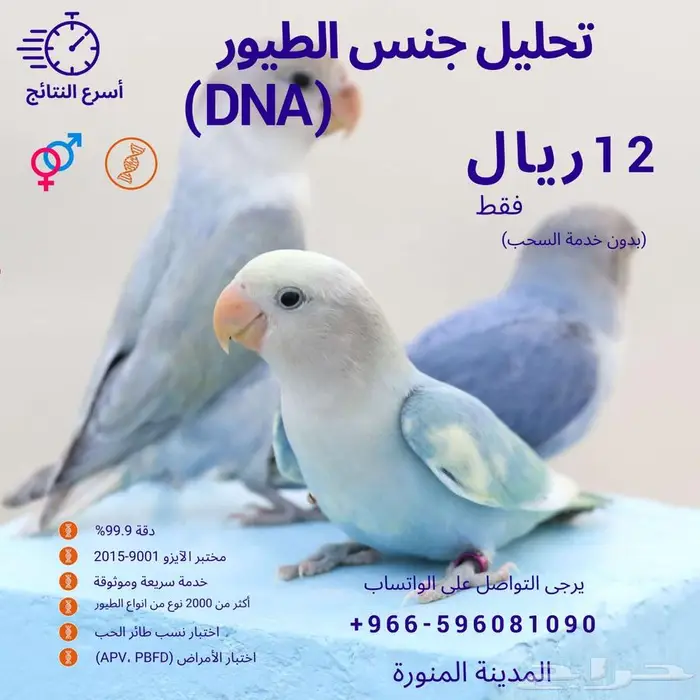 تحديد جنس الطيور بتحليل الحمض النوويDNA 1