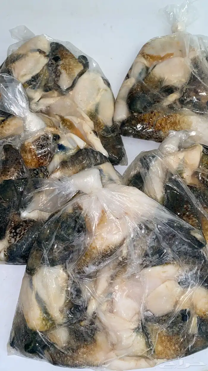 صرمباق طازج فاخر 0