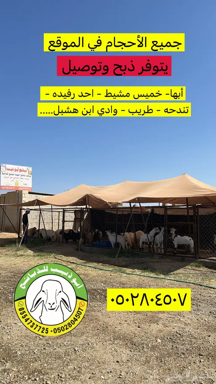 ذبائح أبو ذيب ( يتوفر ذبح وتوصيل ) 3