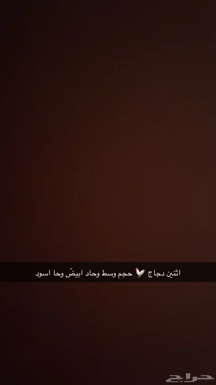 دجااج وصط 0