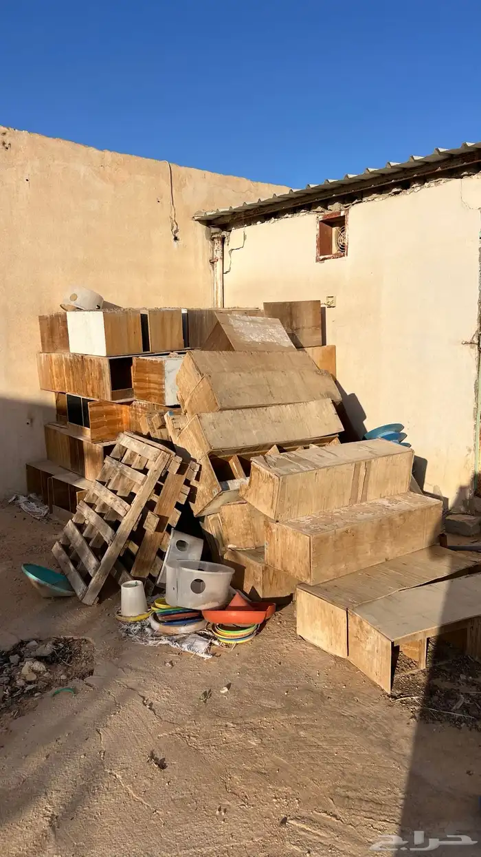 حضانات   سقايات   علافات   مخافق بيض 0
