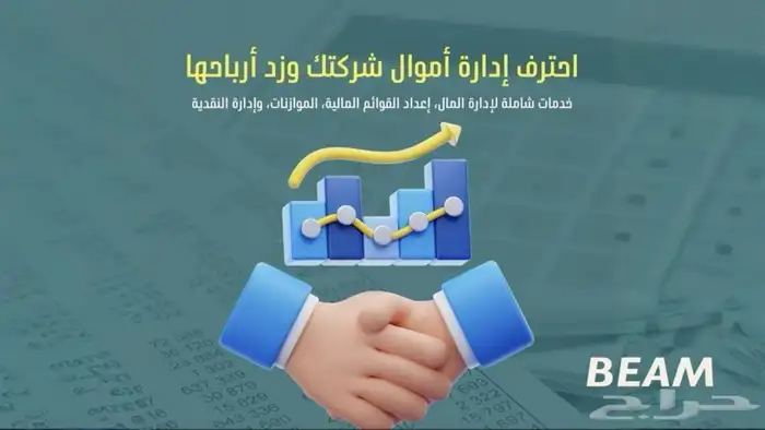 ميزانية - قوائم مالية - محتوى محلي 0