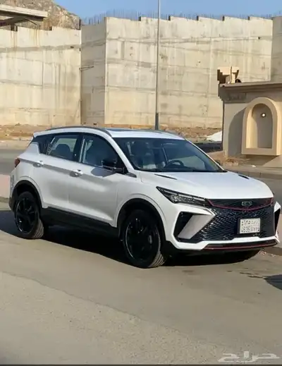 جيلي كولراي 2024 0
