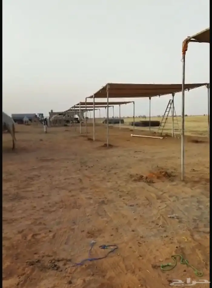 معرض الغنيم 5