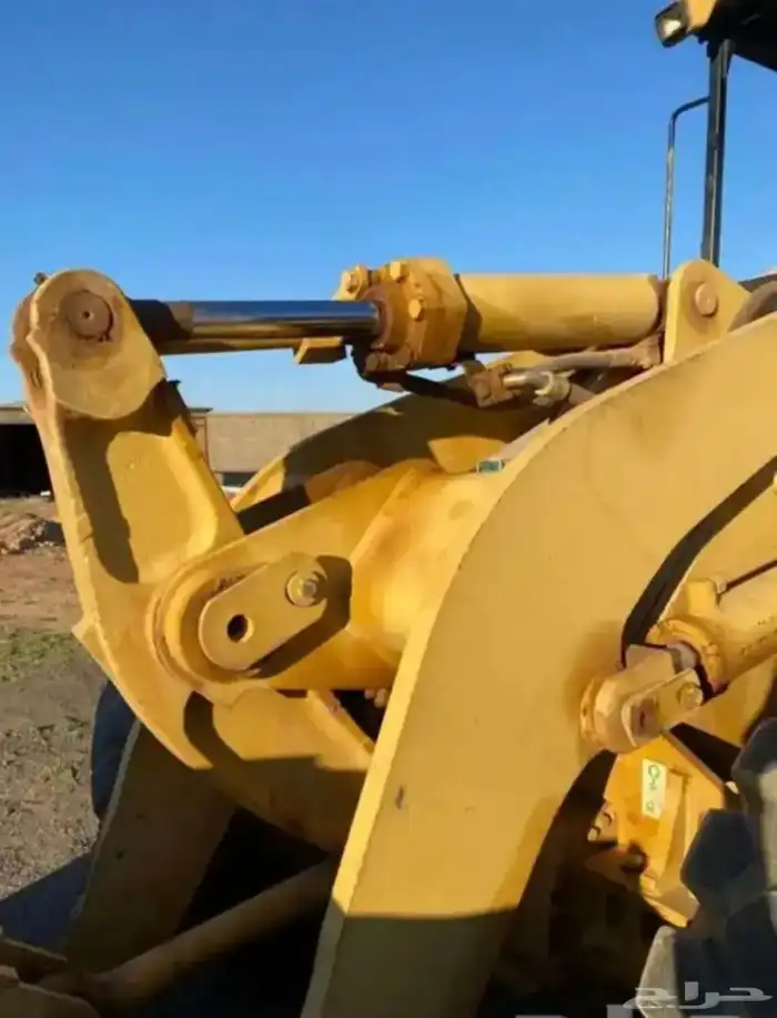 شيول كاتبلر g38 شرط 8