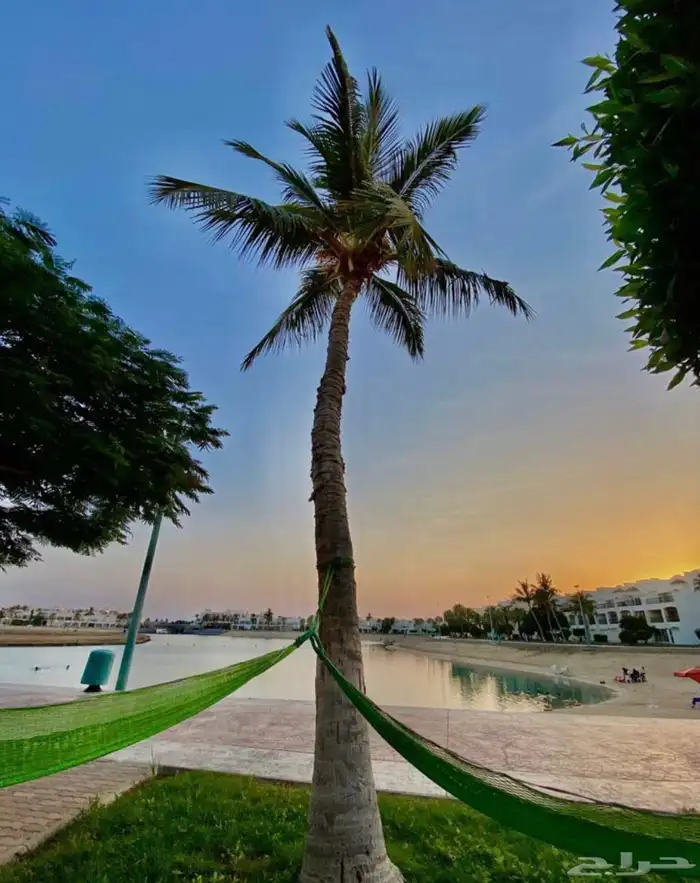 شاليه درة العروس سنوي 10