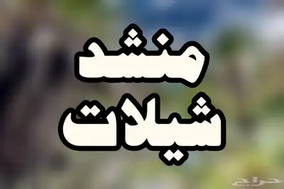 شيلات 0