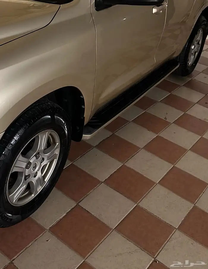 جنوط سكويا 0