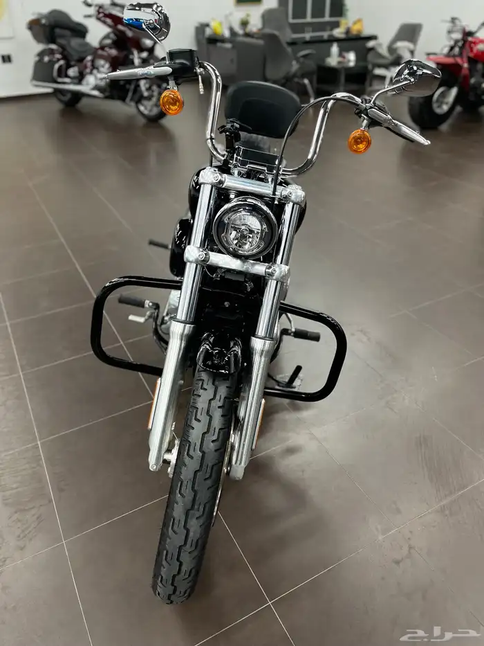 2021 harley davidson softail standard 4