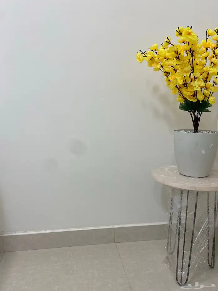 شقه مفروشه جديده فاخره في راس تنوره للرجال والنساء 14