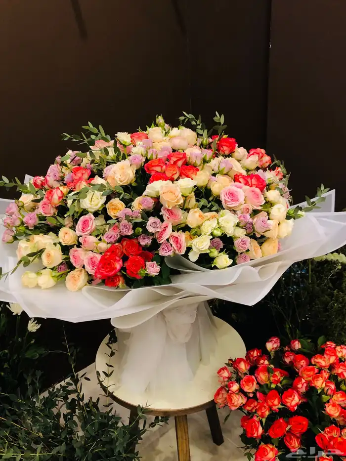 ورد باقه ورد جابو 20