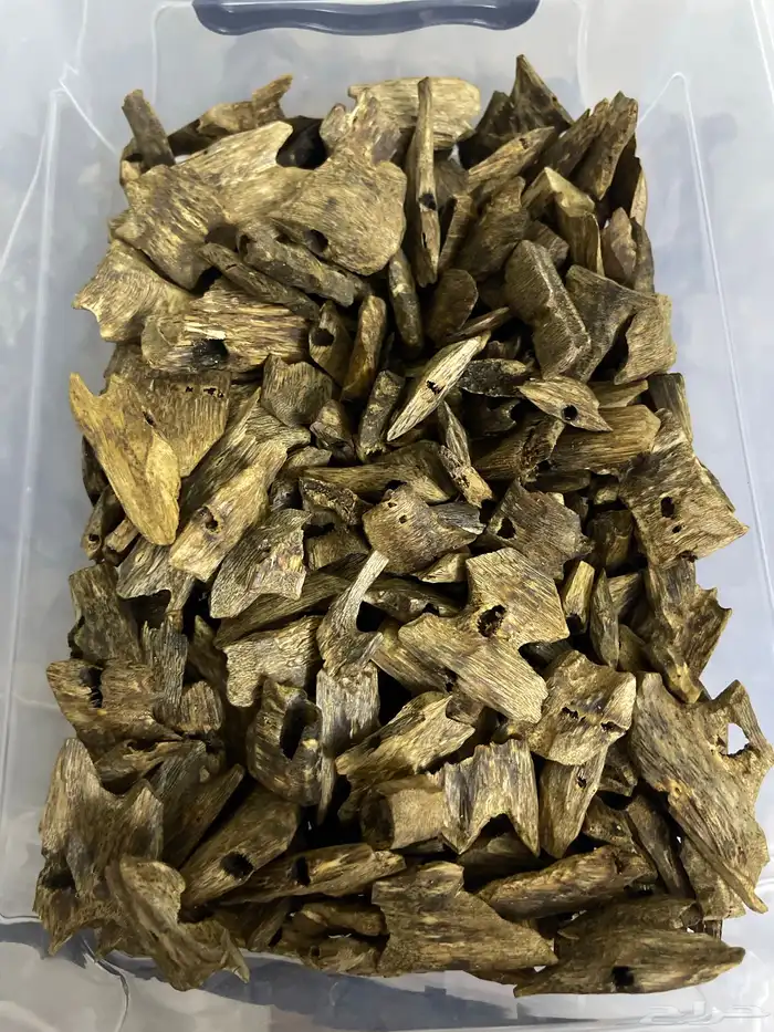 عود صيني كينام 0