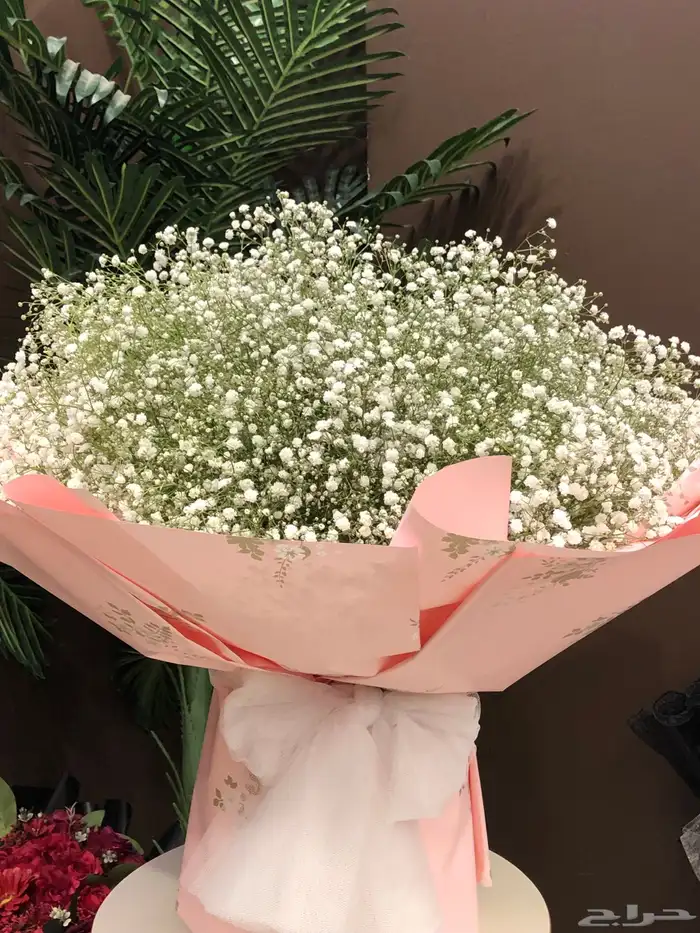 ورد باقه ورد جابو 22