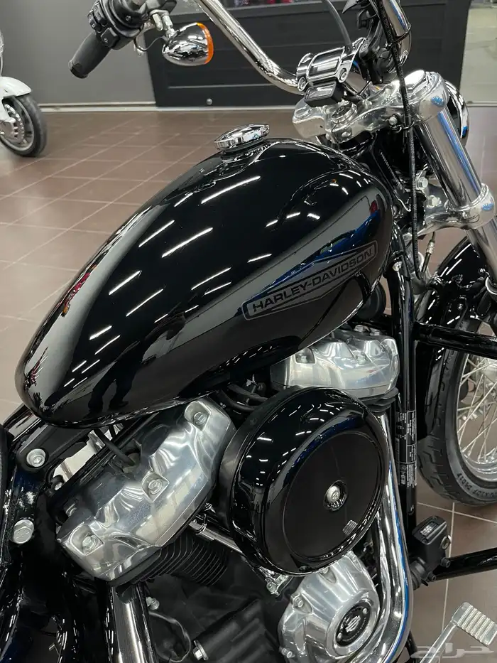 2021 harley davidson softail standard 6