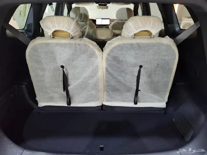 اوكافانجو 2024 7