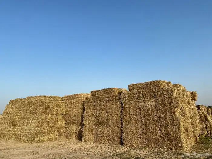 للبيع تبن وهيبان 2400 0