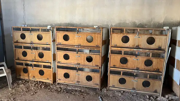 حضانات   سقايات   علافات   مخافق بيض 2