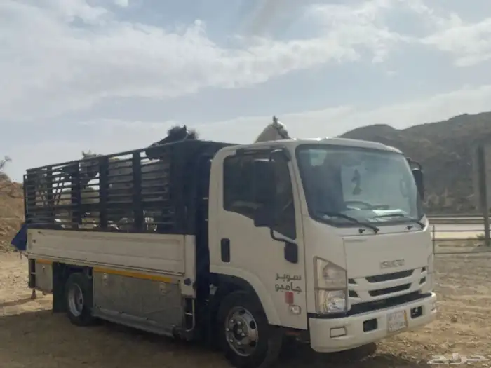 دينا دينه محايل عفش غنم ابل بقر خيل طابق سقايل ابها الخميس 1