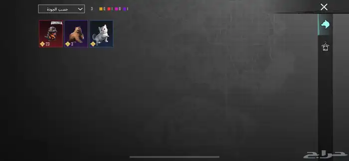 حساب ببجي للبيع 30