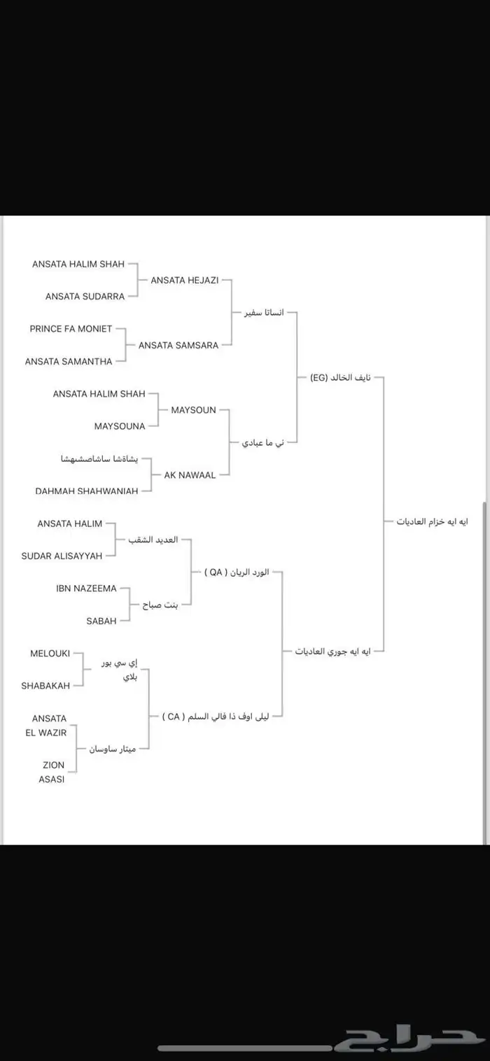 خيل عربي للبيع مستعجل 3