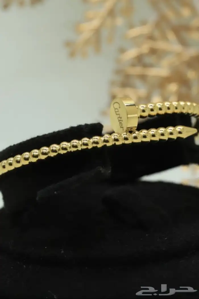 إطلالات ذهبيه عصريه بسعر خيال 51