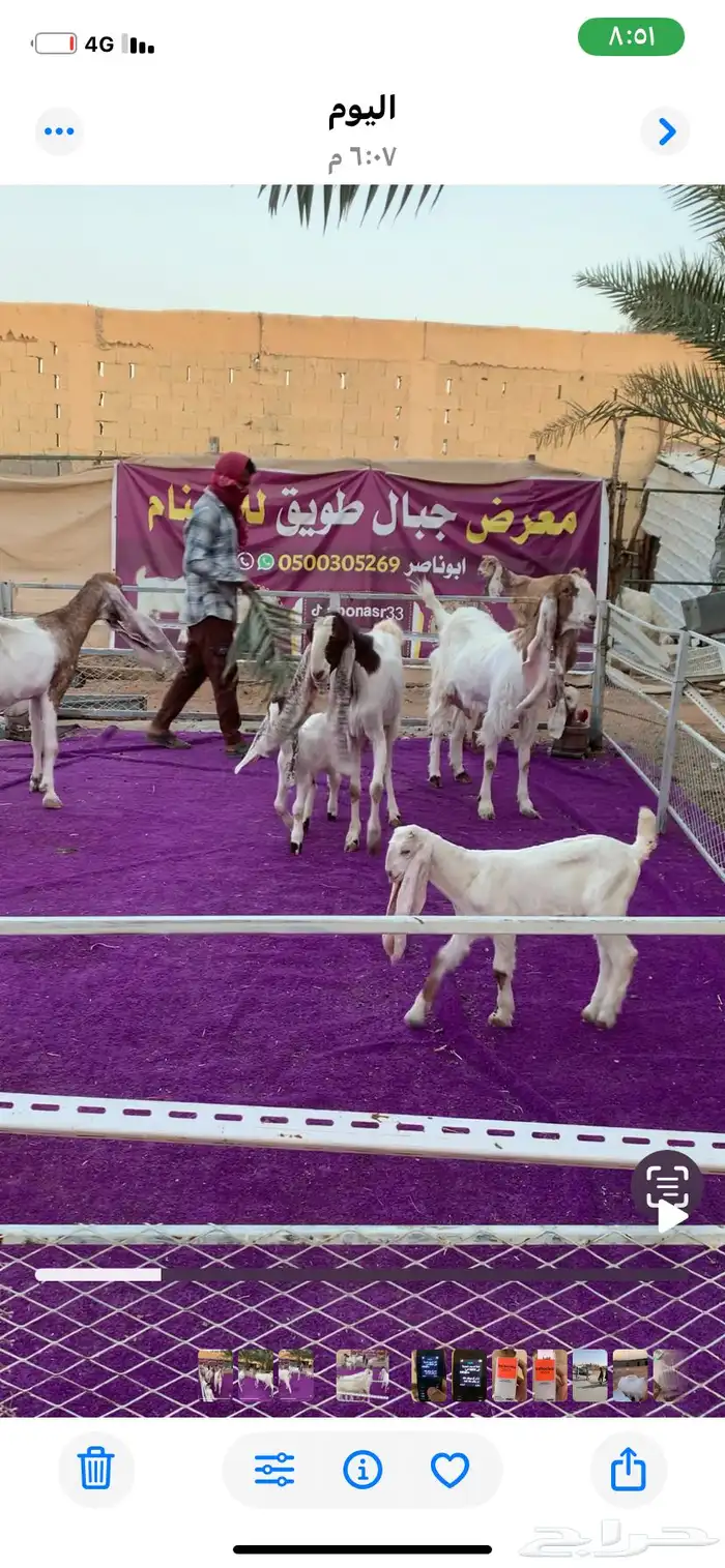 اربع معزا مطورات متابيع جروم فاخره 1