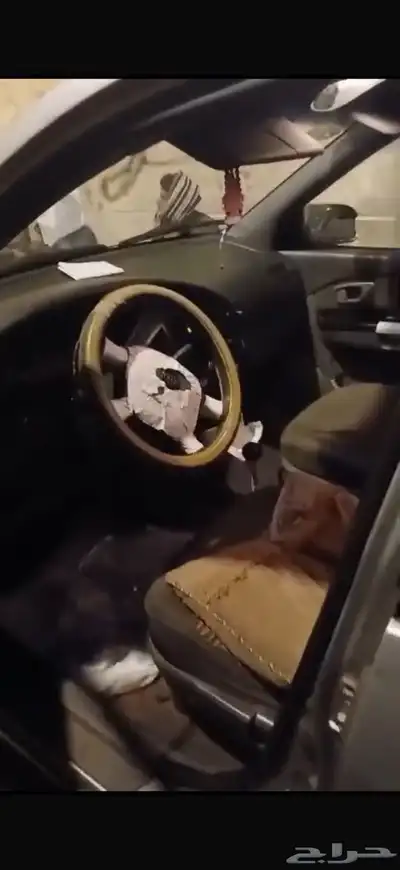 كيا كارنس واجن 6