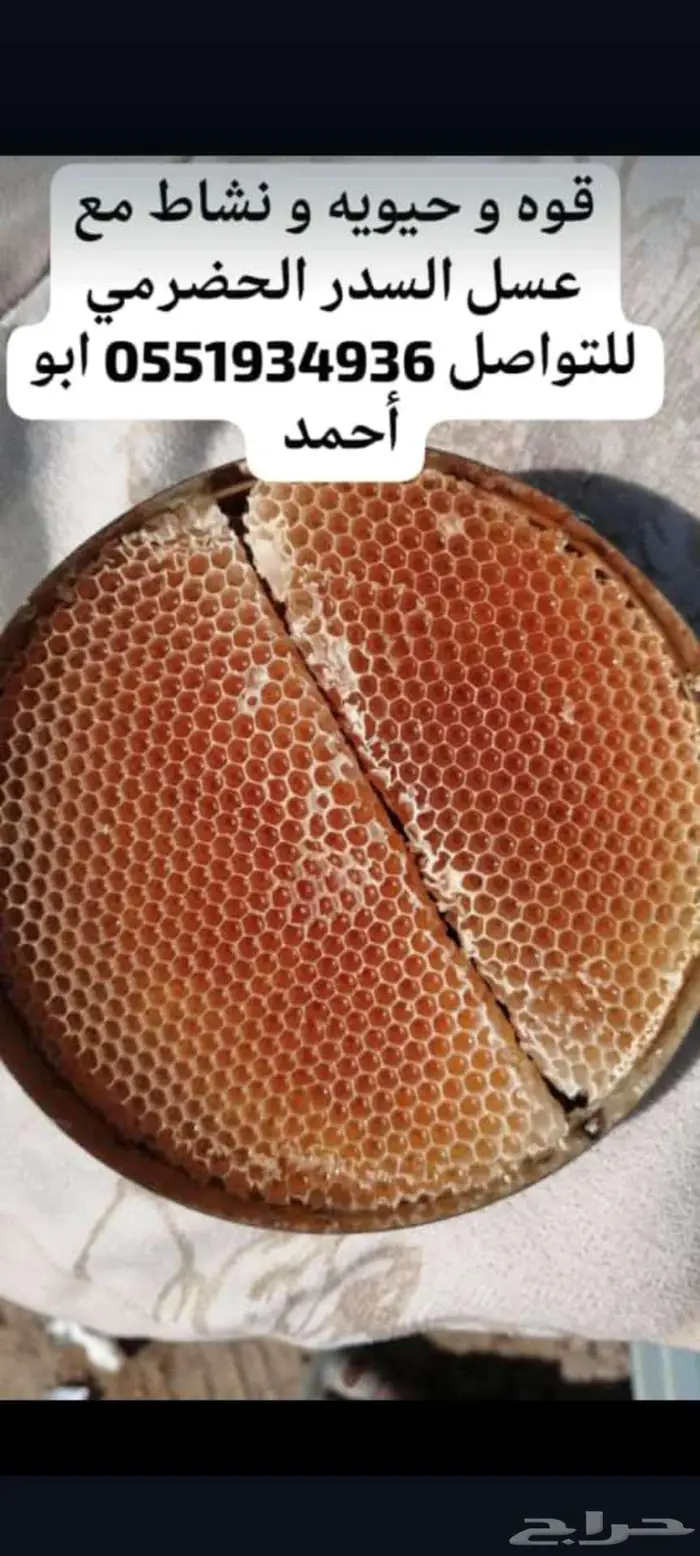 عسل شمع سدر حضرمي 0