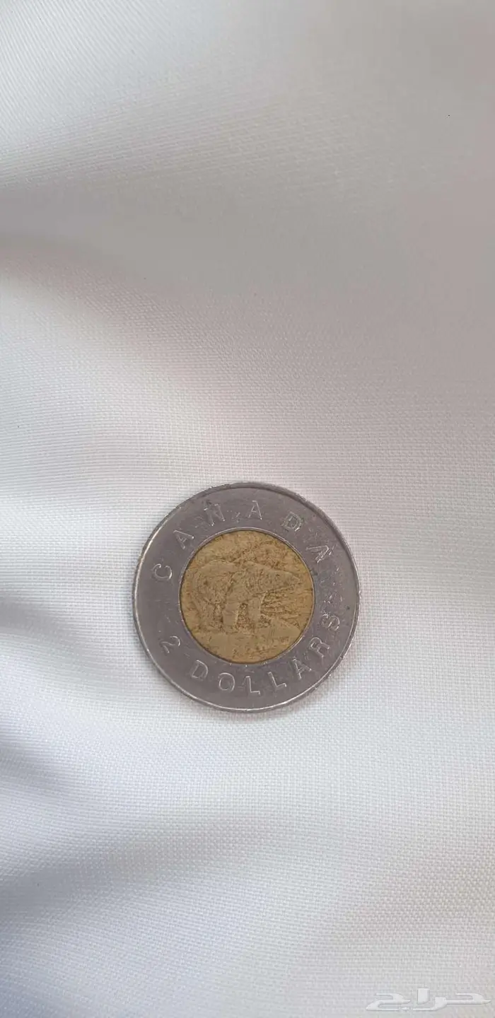 اموال قديمه عملات 1