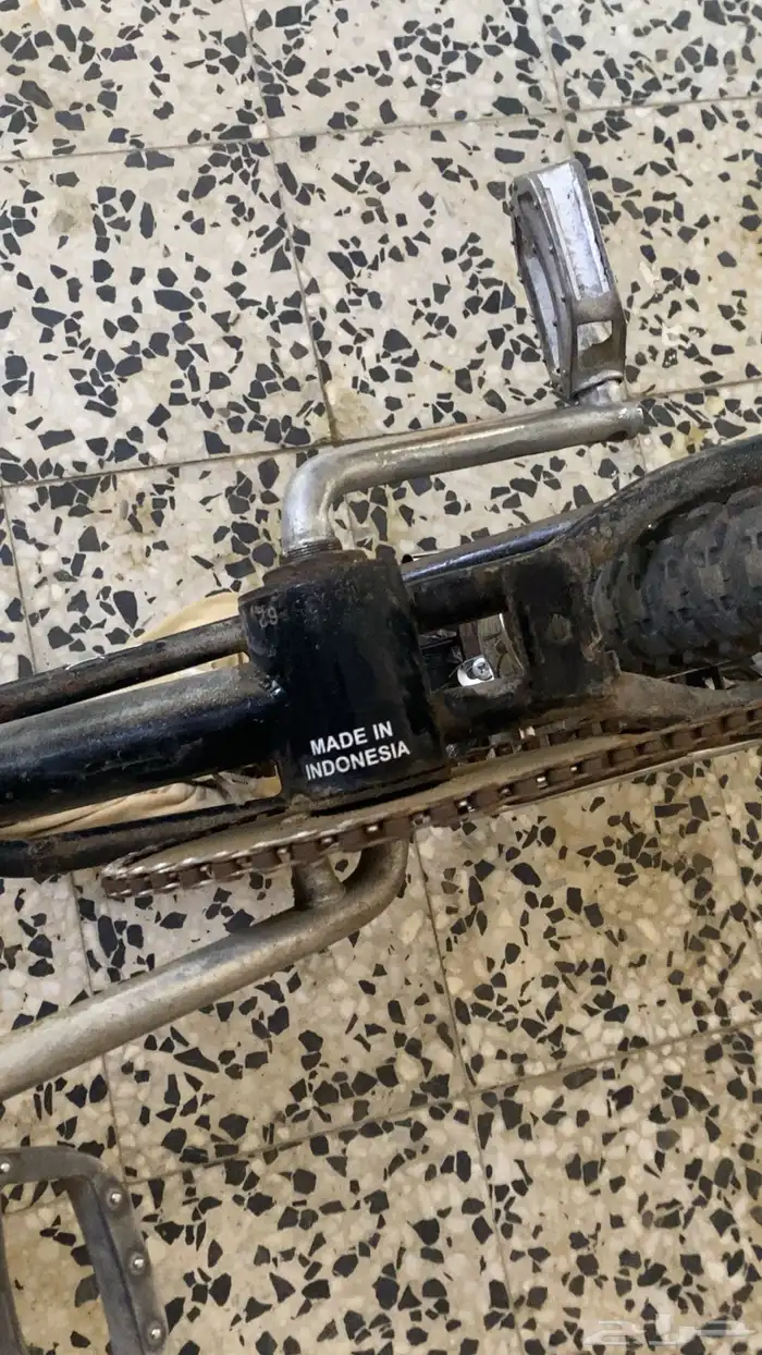 رامبو اندنوسي 5