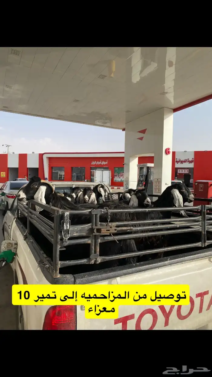 المزاحميه توصيل حلال وغيره 12
