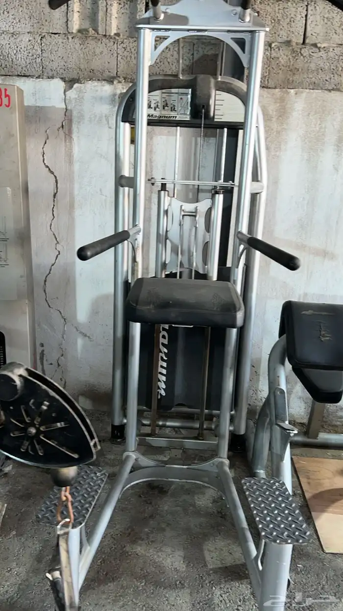 اجهزة بيلاتس اندية معدات دنابل تمارين 31