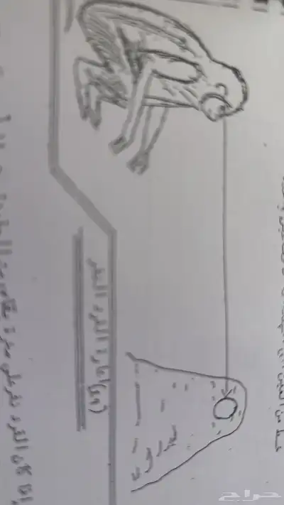 سكاكا الجوف 19