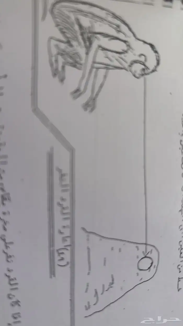 سكاكا الجوف 19