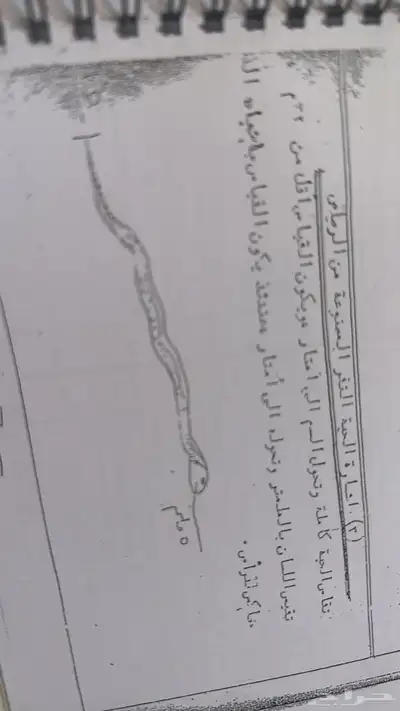 سكاكا الجوف 18